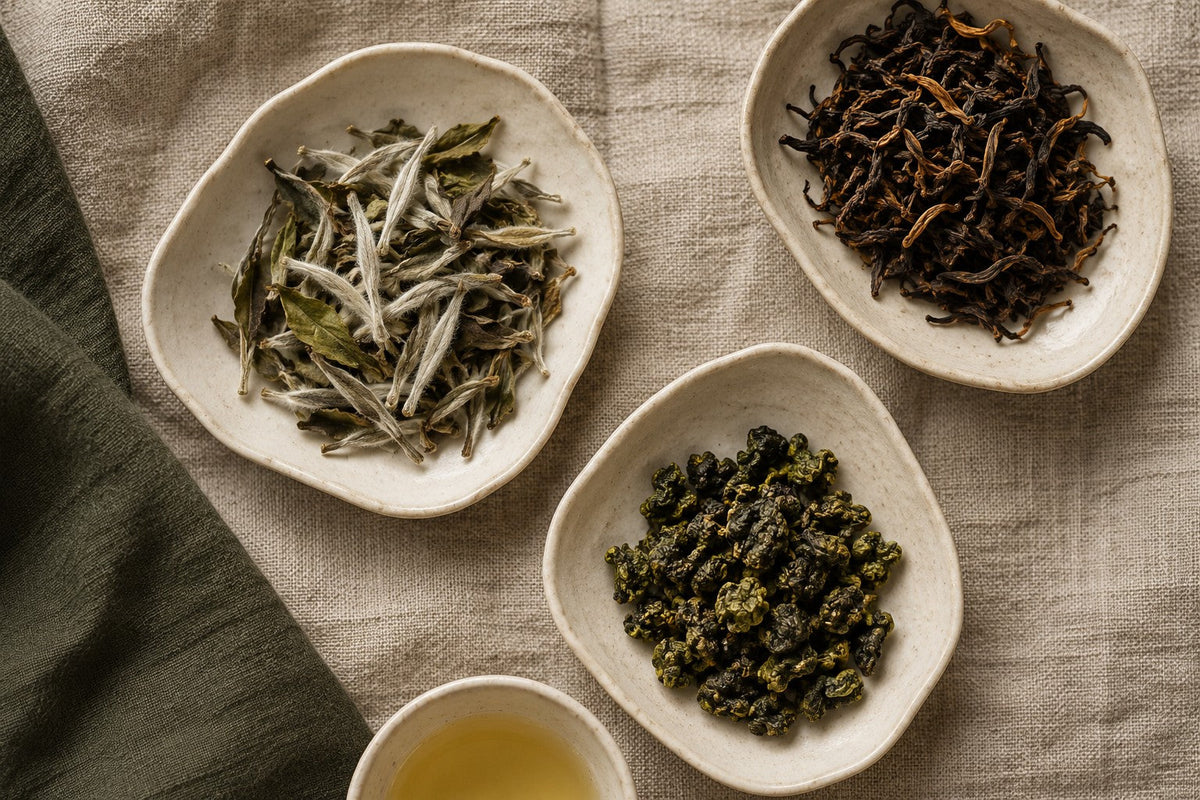 Amostras de chá branco, vermelho e oolong enrolado, fotografadas de cima
