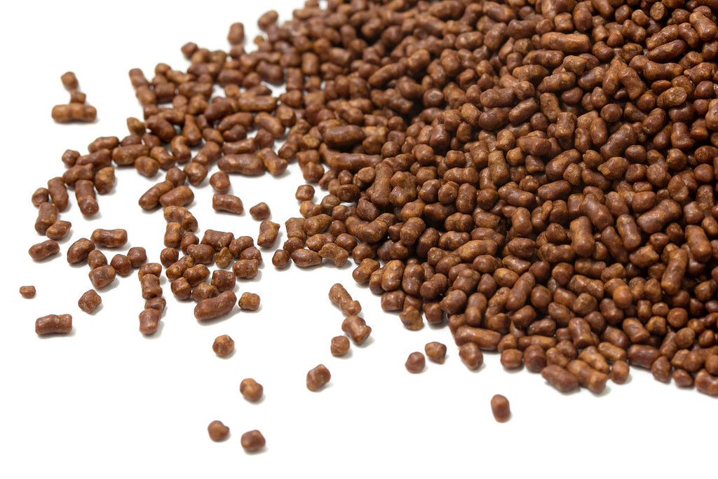 Infusão chinesa de trigo-sarraceno tártaro torrado, naturalmente sem cafeína