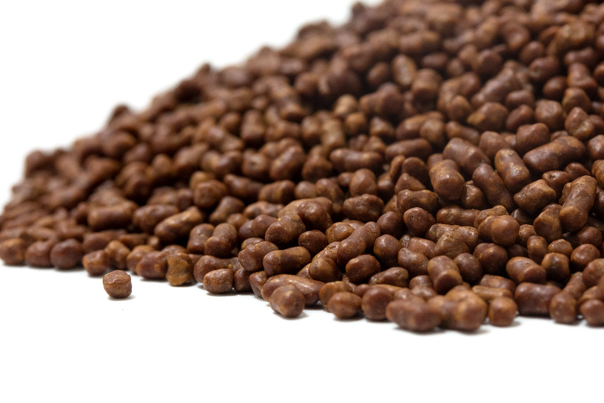 Dark roasted Tartary buckwheat Ku Qiao Mai for traditional Chinese buckwheat infusion